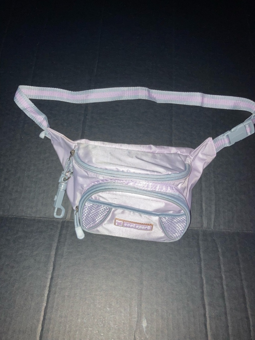 Purple Waist Bag Fanny Pack -